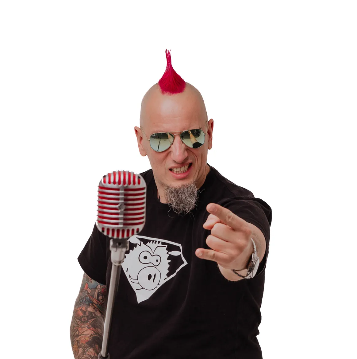 Dzik Majk - początki