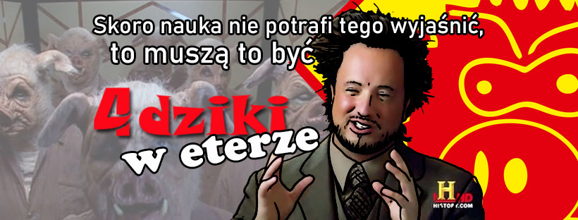 4dziki w eterze